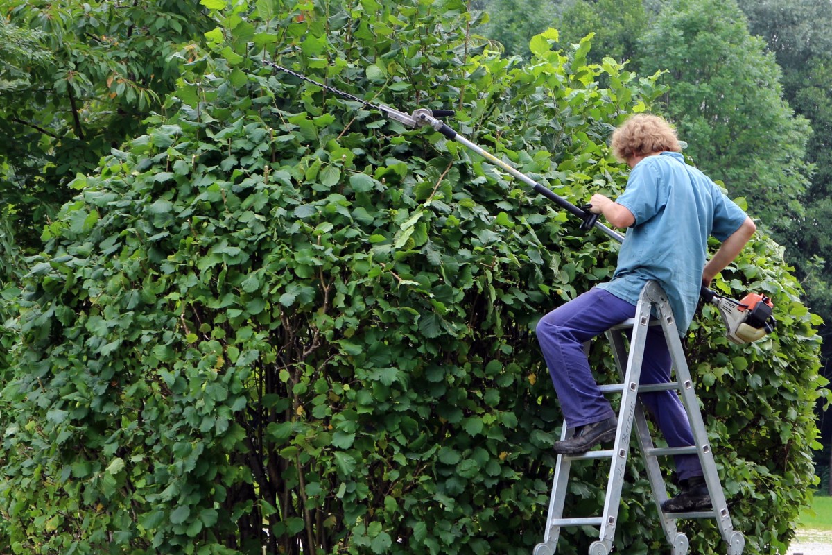 Gardening Team